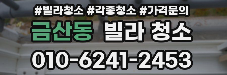 금산동 빌라 청소