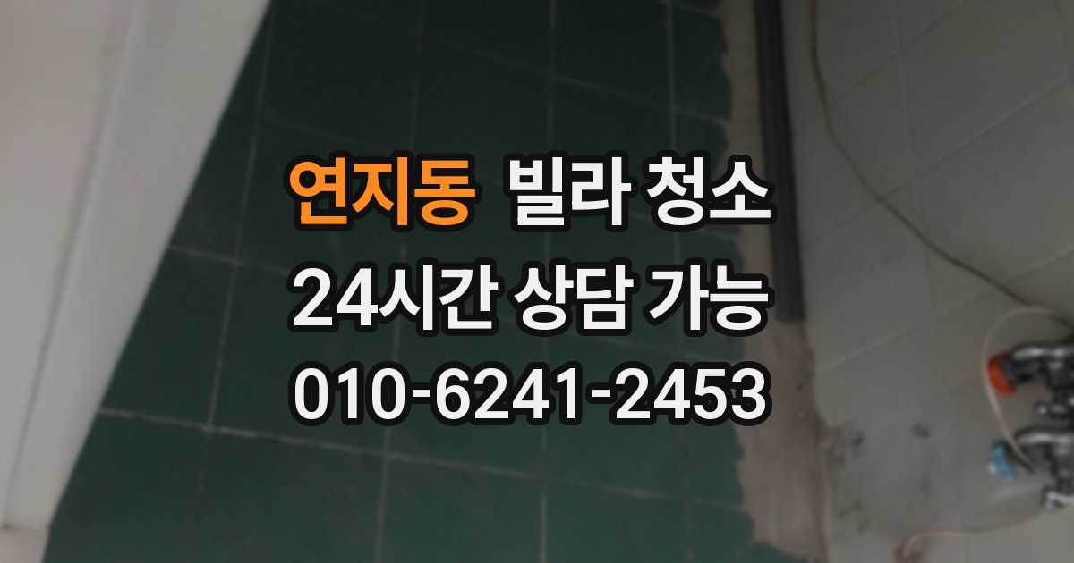 연지동 빌라 청소