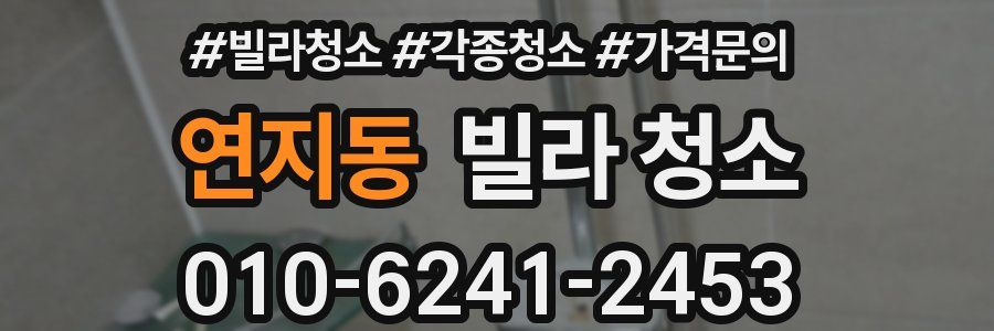 연지동 빌라 청소