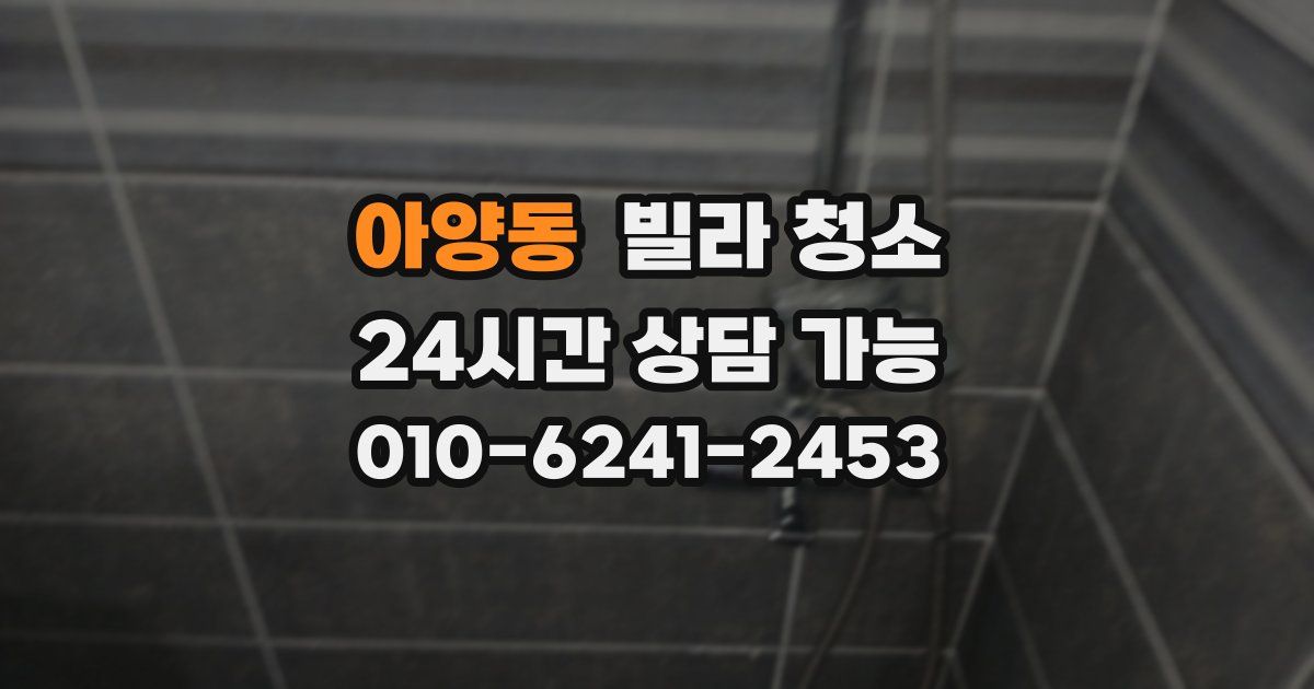 아양동 빌라 청소