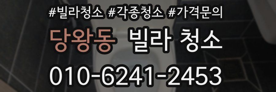 당왕동 빌라 청소