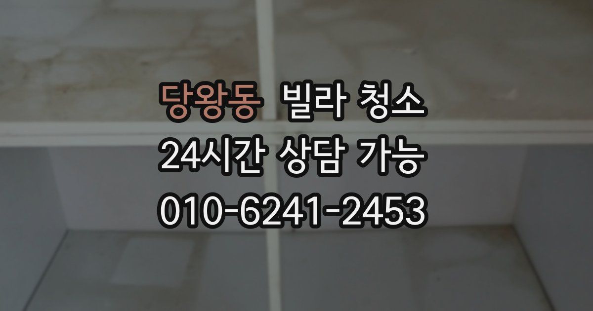 당왕동 빌라 청소