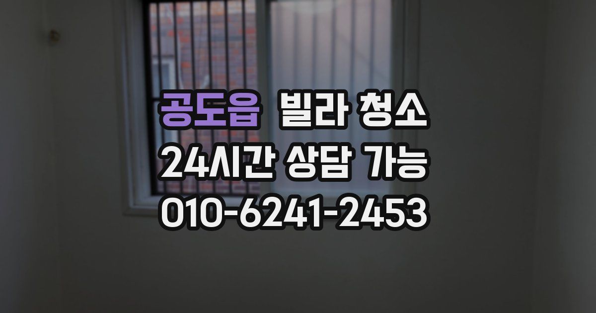 공도읍 빌라 청소
