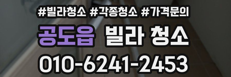 공도읍 빌라 청소