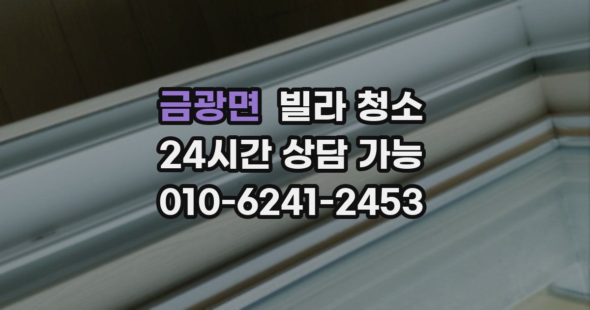 금광면 빌라 청소