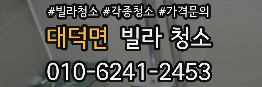 대덕면 빌라 청소