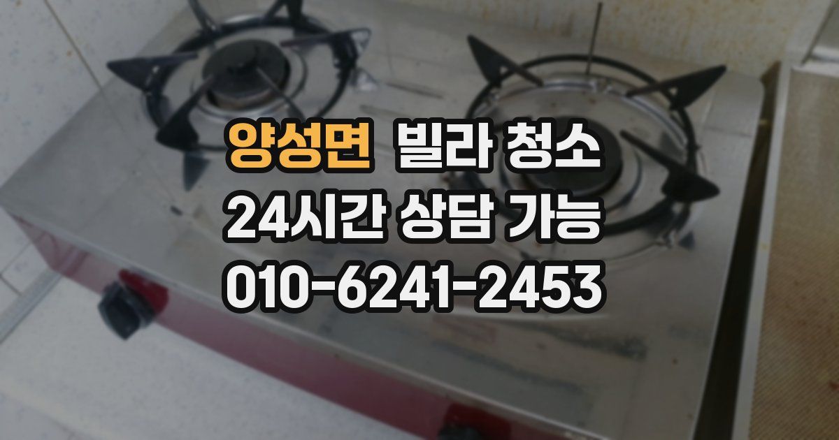 양성면 빌라 청소