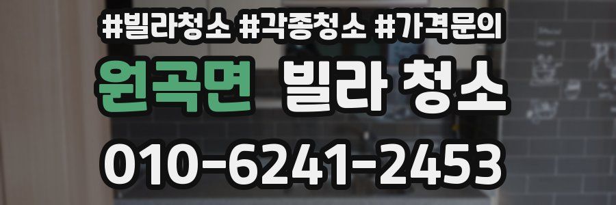 원곡면 빌라 청소