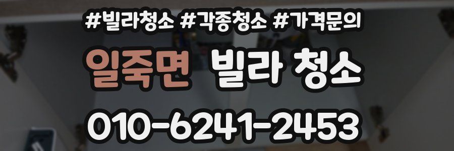 일죽면 빌라 청소