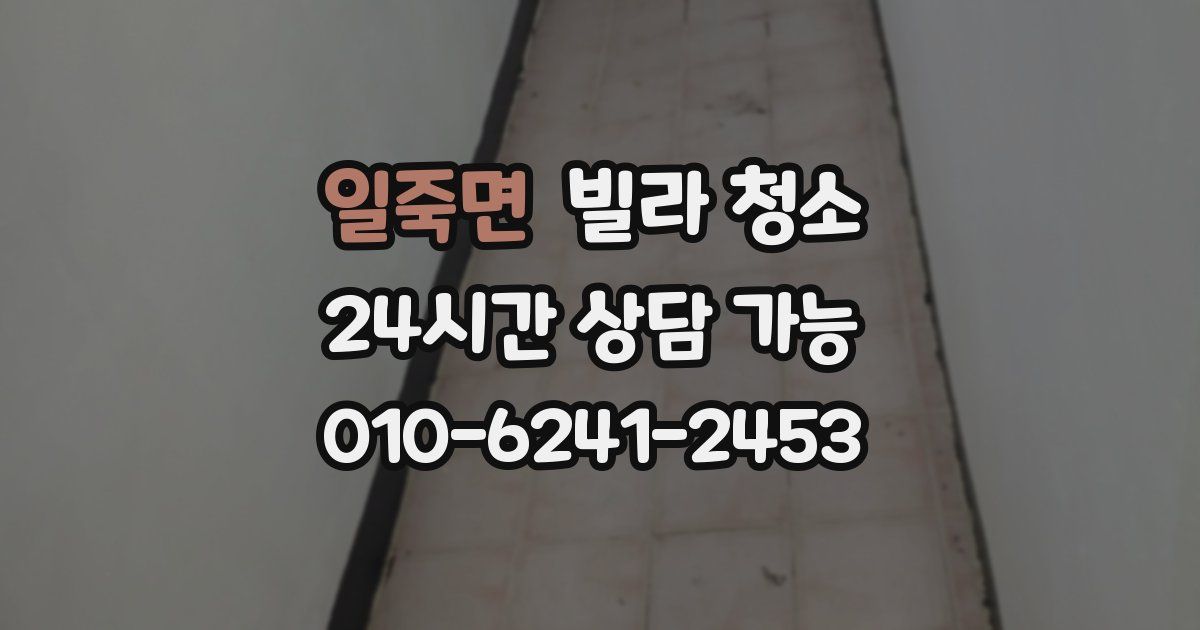 일죽면 빌라 청소