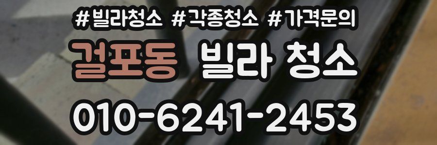 걸포동 빌라 청소