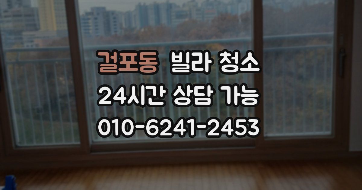 걸포동 빌라 청소