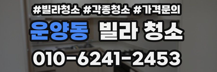 운양동 빌라 청소