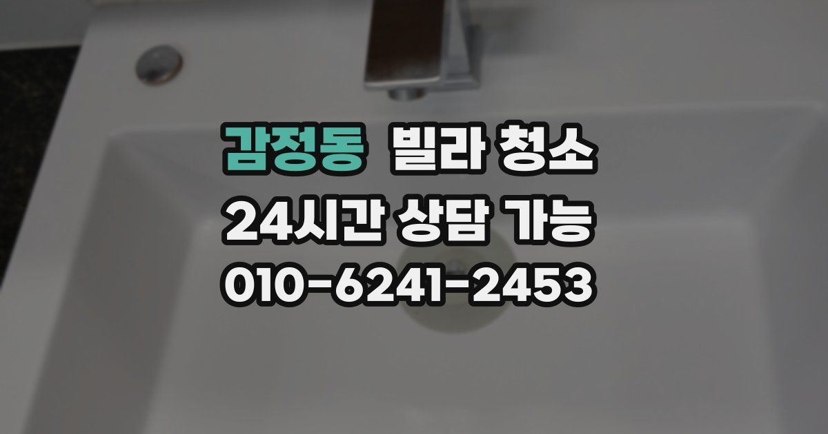 감정동 빌라 청소