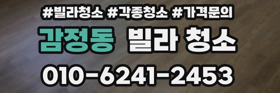 감정동 빌라 청소