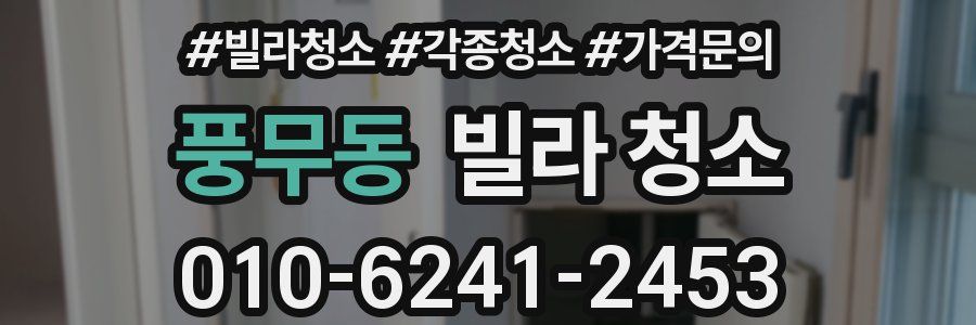 풍무동 빌라 청소