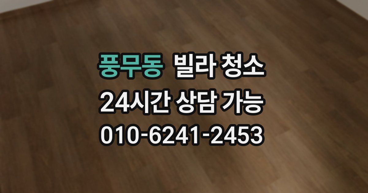 풍무동 빌라 청소