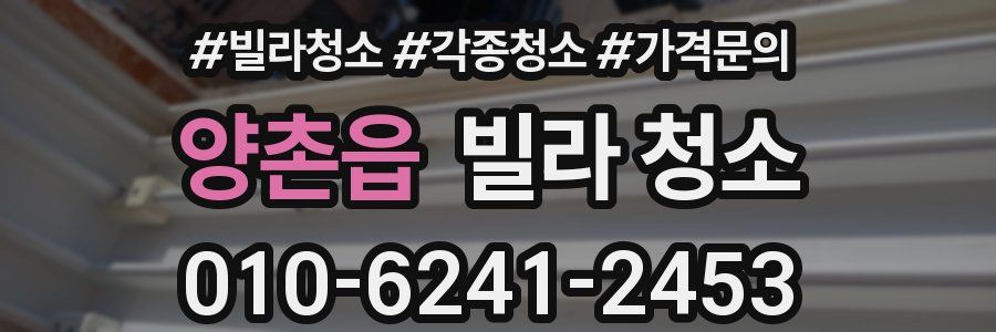 양촌읍 빌라 청소