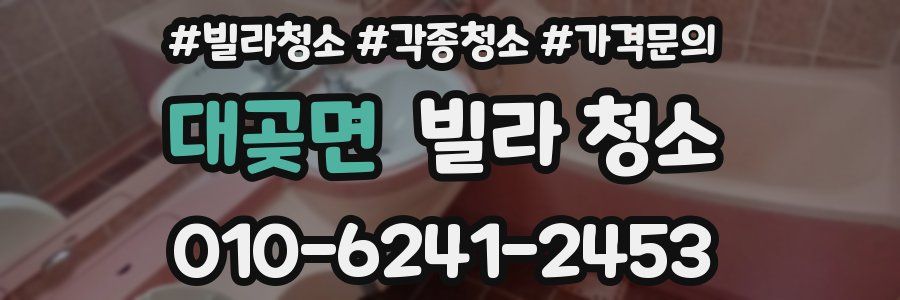 대곶면 빌라 청소