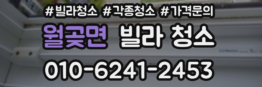 월곶면 빌라 청소