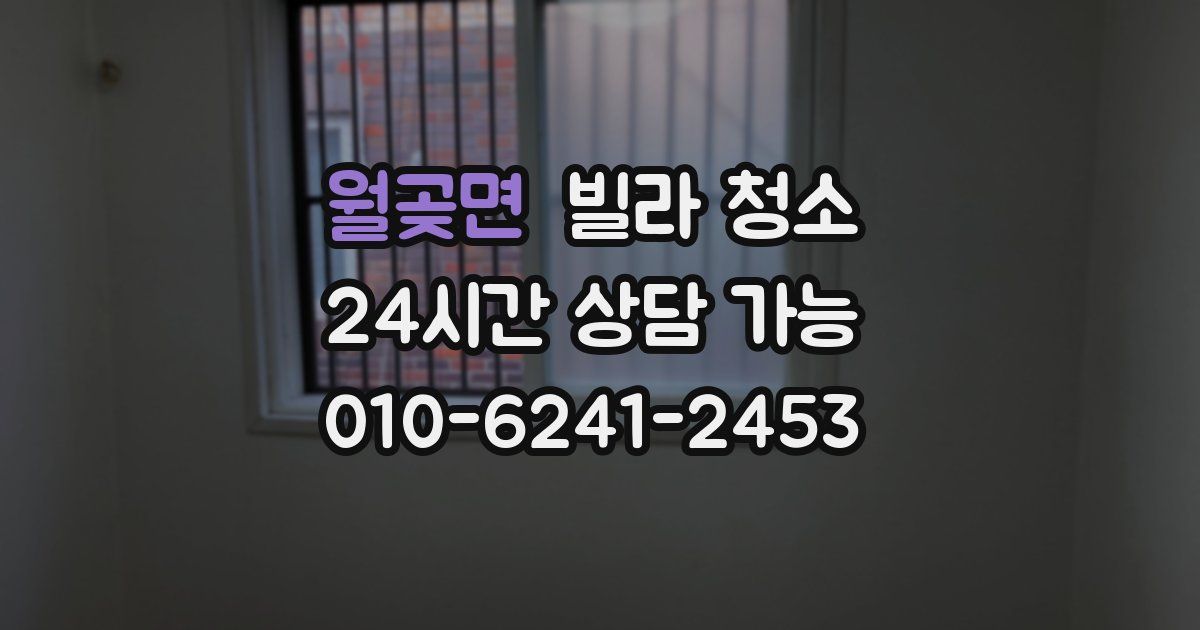 월곶면 빌라 청소