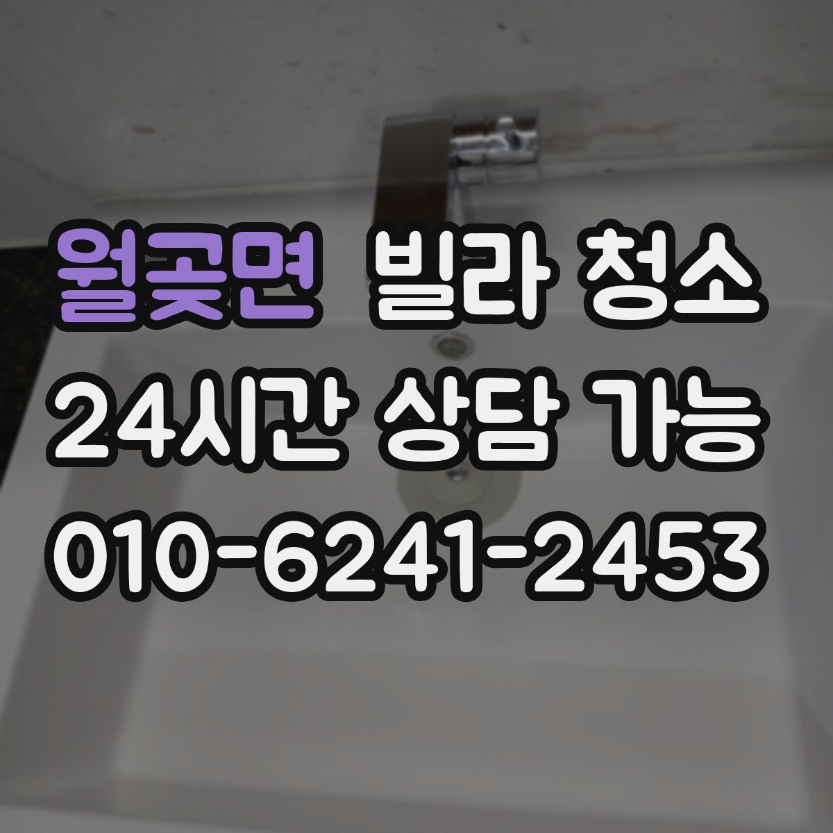 월곶면 빌라 청소