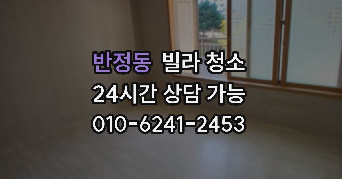 반정동 빌라 청소