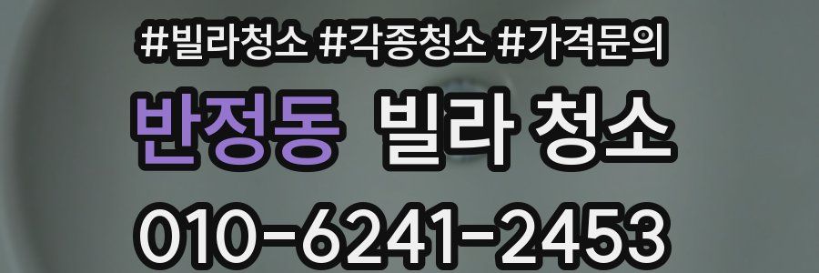 반정동 빌라 청소