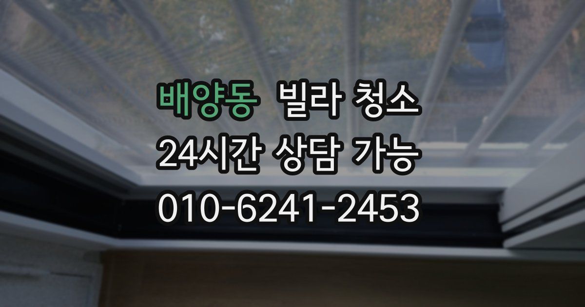 배양동 빌라 청소