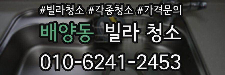 배양동 빌라 청소