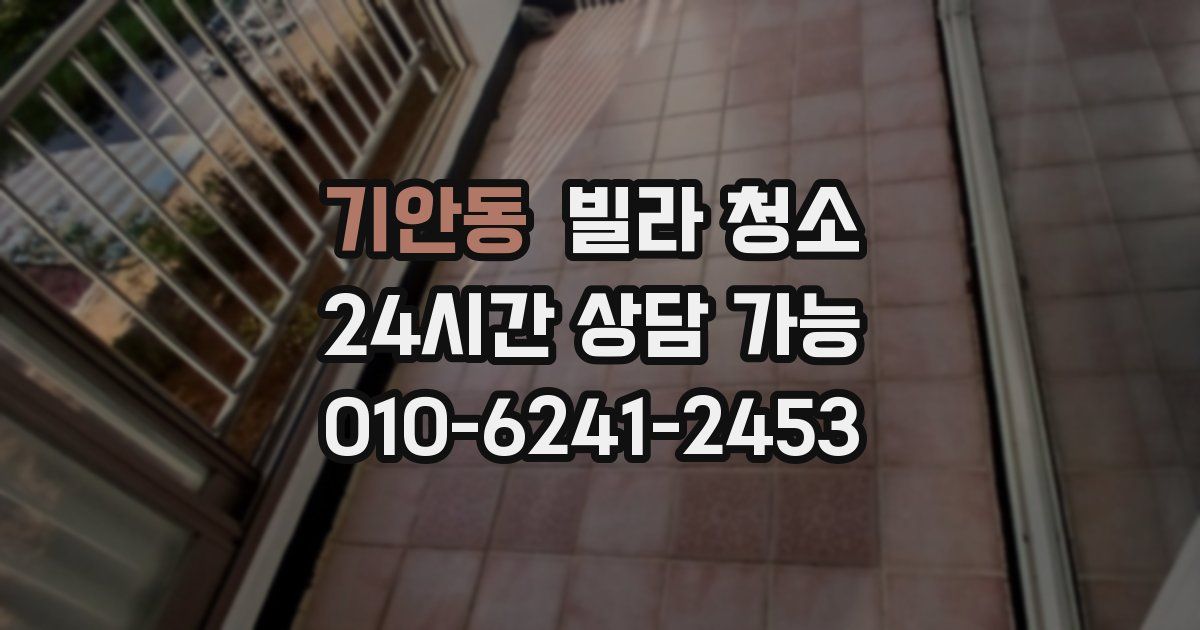 기안동 빌라 청소