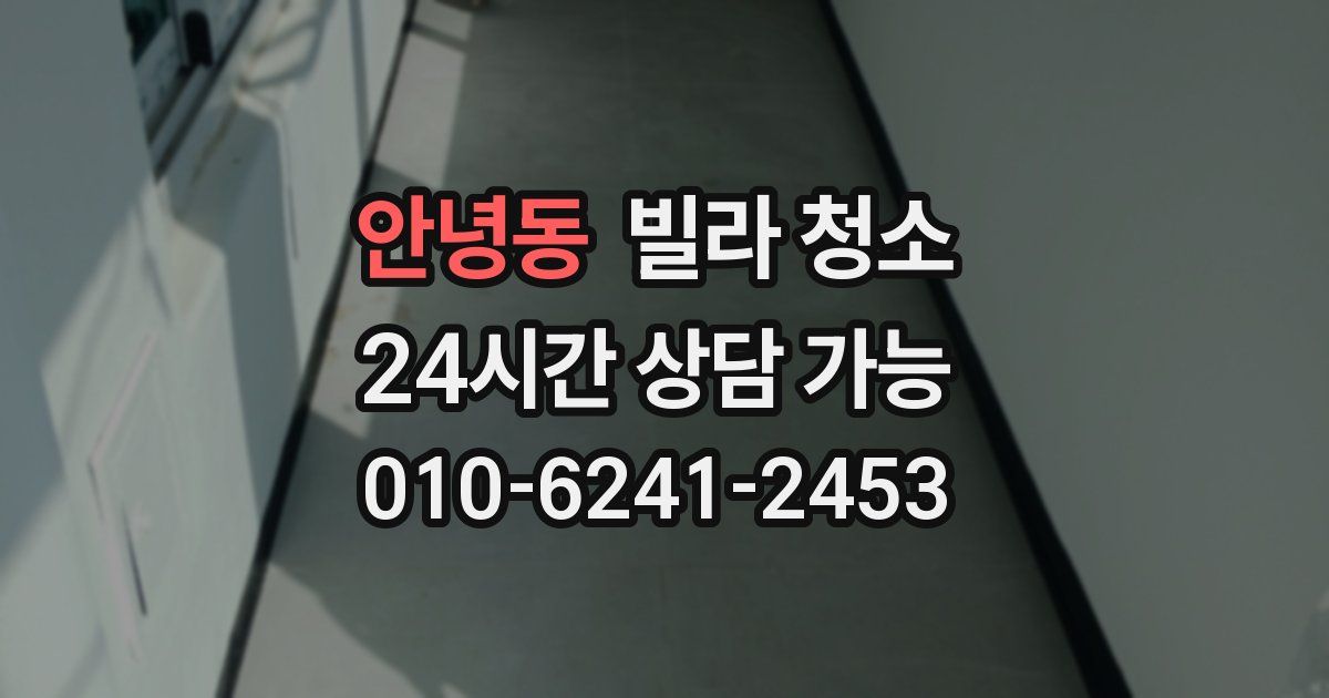 안녕동 빌라 청소