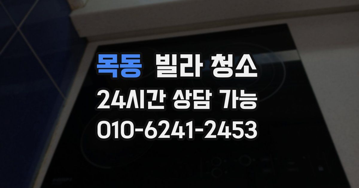 목동 빌라 청소