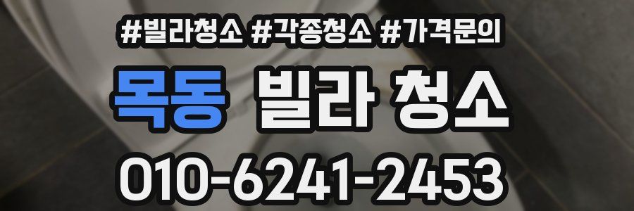 목동 빌라 청소