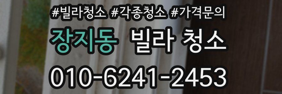 장지동 빌라 청소