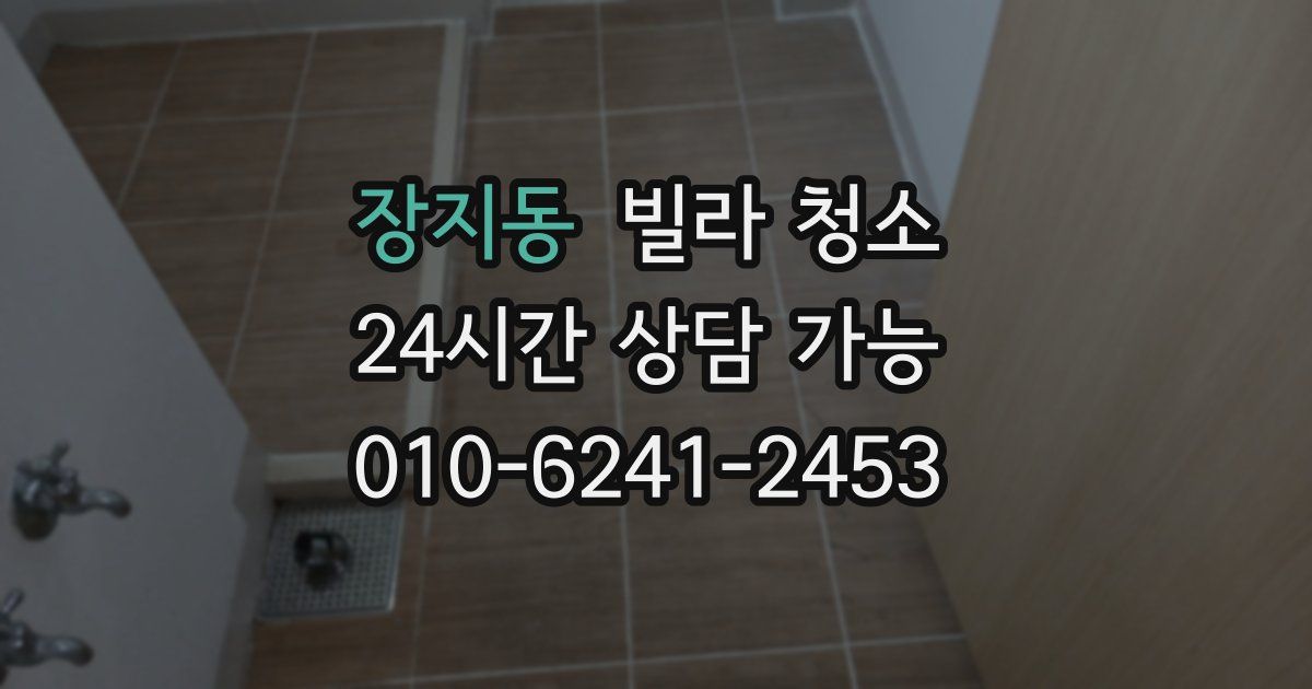 장지동 빌라 청소