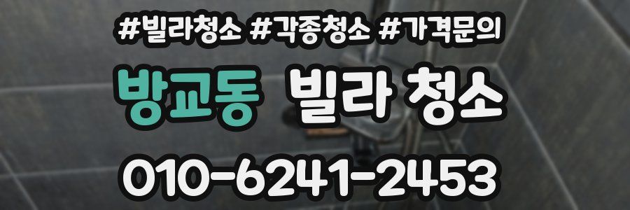 방교동 빌라 청소