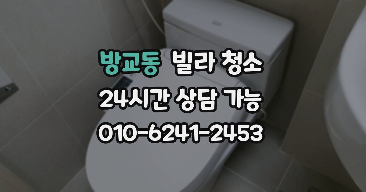 방교동 빌라 청소