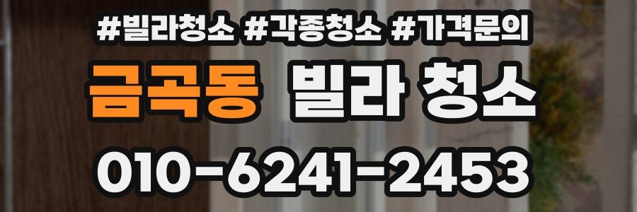 금곡동 빌라 청소