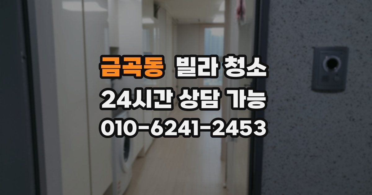 금곡동 빌라 청소