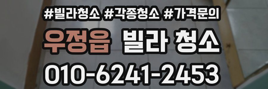 우정읍 빌라 청소