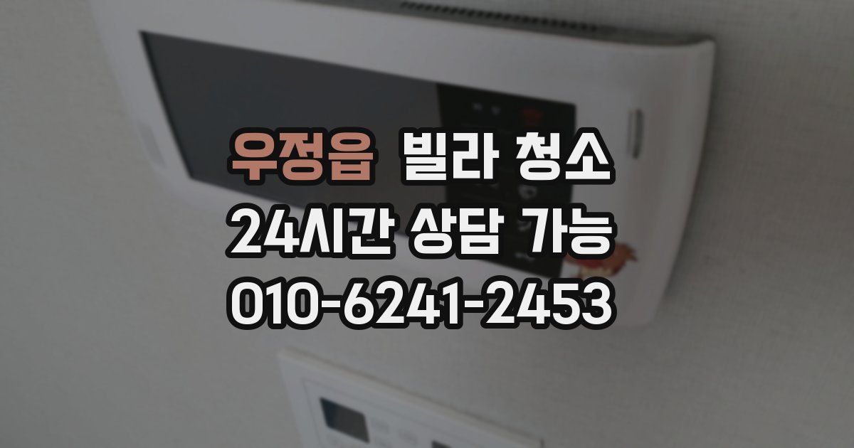 우정읍 빌라 청소