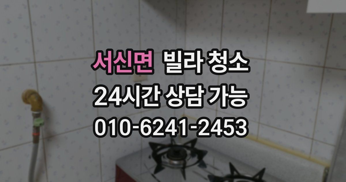 서신면 빌라 청소