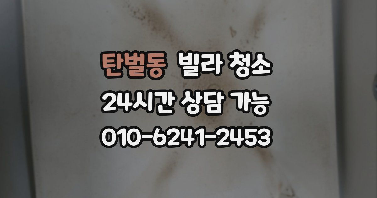 탄벌동 빌라 청소