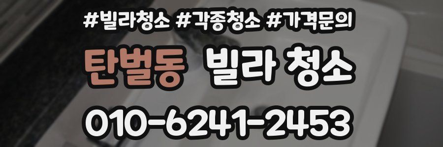 탄벌동 빌라 청소