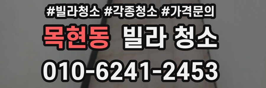 목현동 빌라 청소