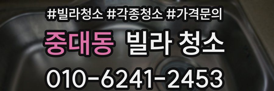 중대동 빌라 청소