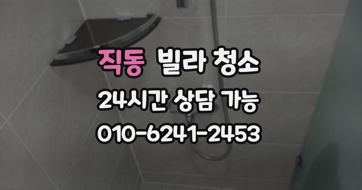 직동 빌라 청소