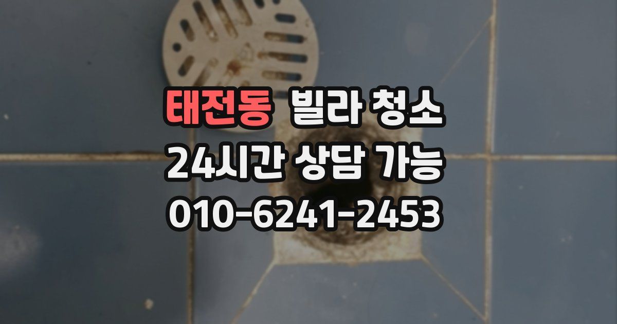 태전동 빌라 청소