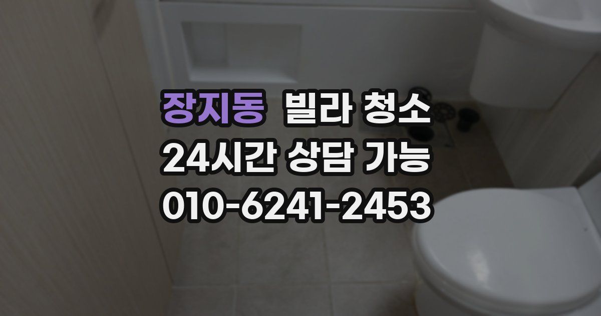 장지동 빌라 청소